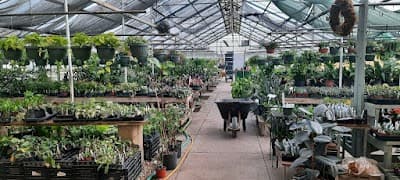 Jackson's Greenhouse