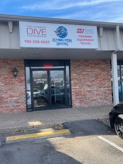 Flying Fish Swim and Scuba